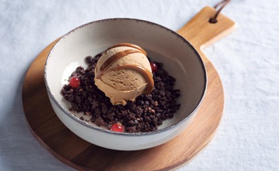 /en/professionals/platings/nougat-ice-cream-with-cocoa-crumble/